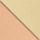 B983C Rose Gold & Champagne  (B983D)
