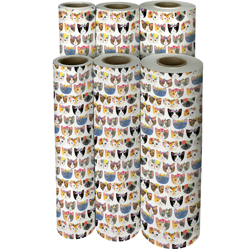 B313C Birthday Gnomes