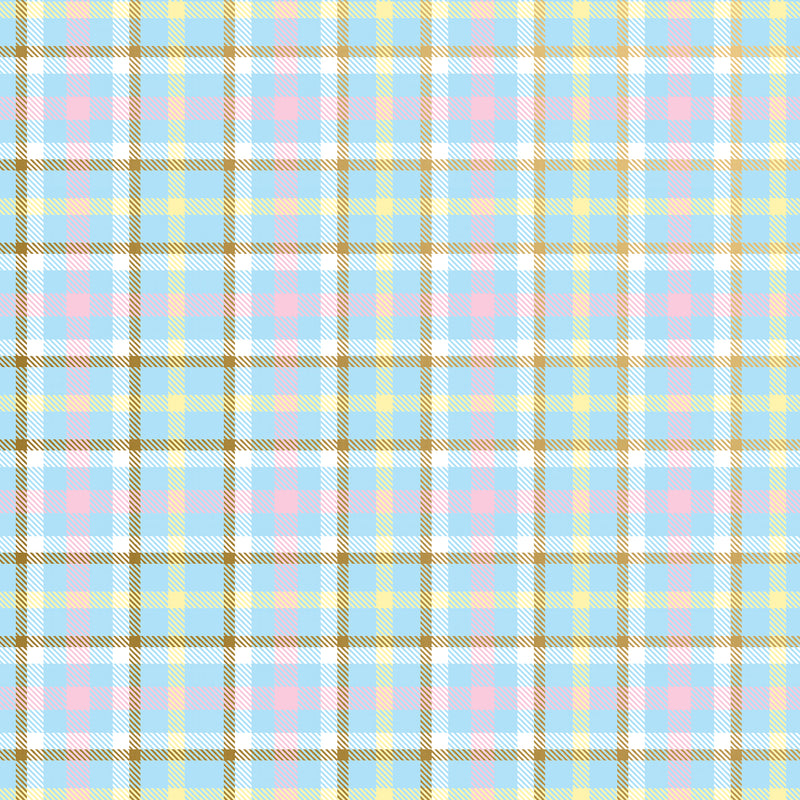 B202C Baby Plaid