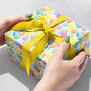 B234D Balloon Bonanza