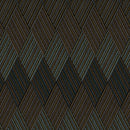 B247D Abstract Argyle