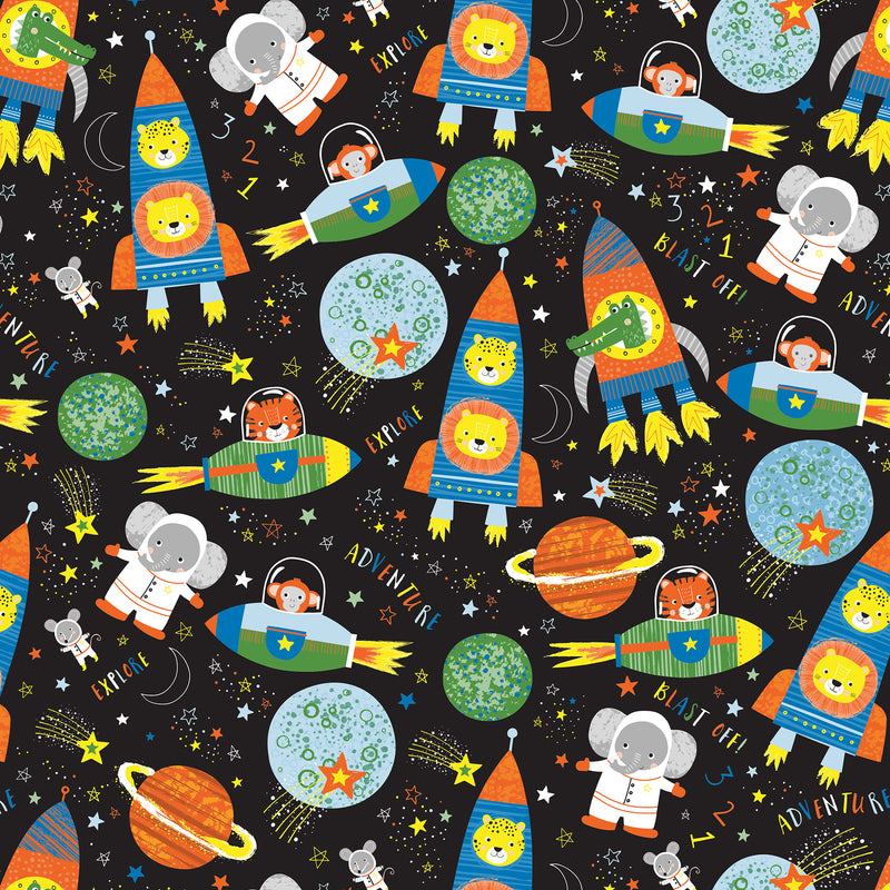 B405C Animals in Space