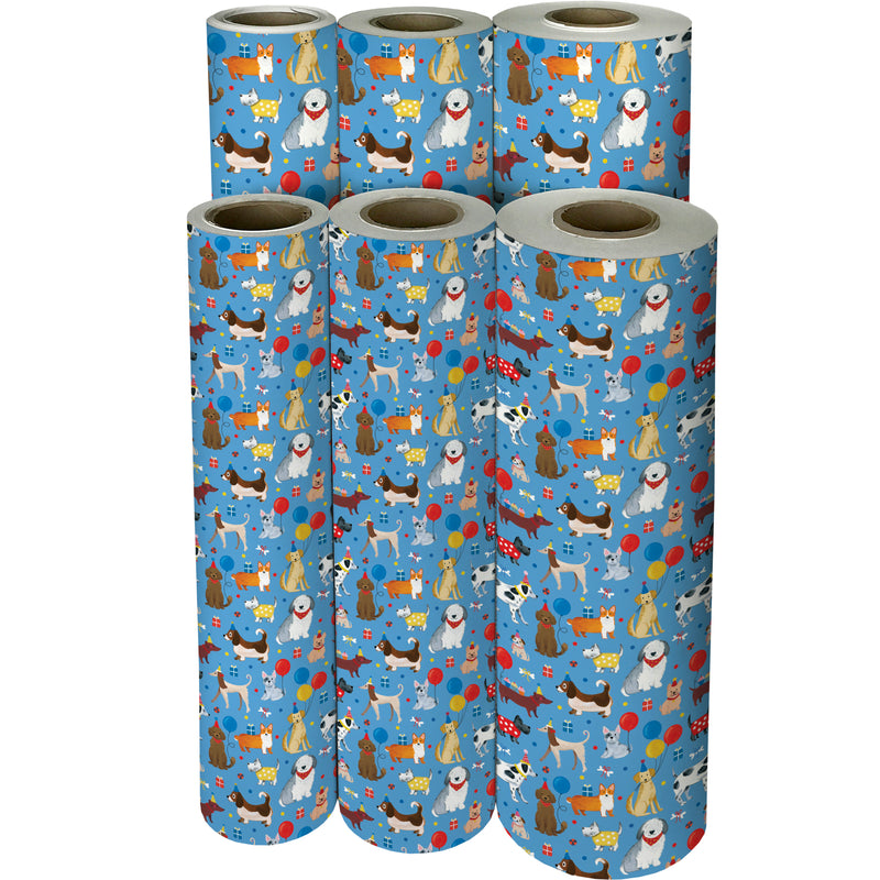 B429C Party Dogs