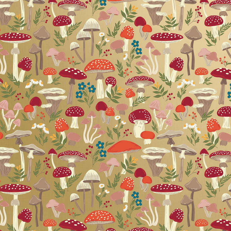 B433C Mushroom Forest