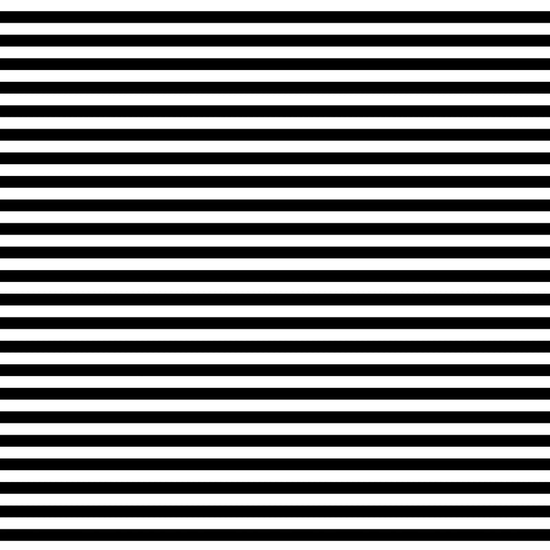 B449C Black White Stripe