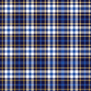 B228C Hunter Navy Plaid