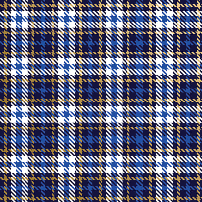 B484C Blue Plaid