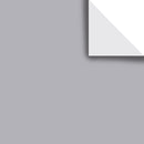 Tissue Paper Solid Color BFT14 Silver