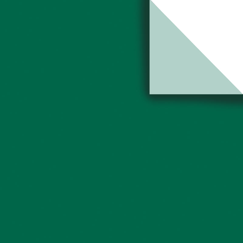 Tissue Paper Solid Color BFT25 Hunter