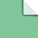 Tissue Paper Solid Color BFT35 Apple