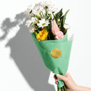 Tissue Paper Solid Color BFT35 Apple