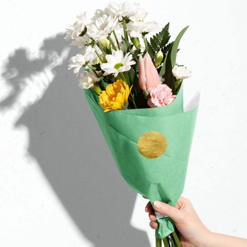 Tissue Paper Solid Color BFT35 Apple