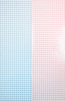 GW-1758C Pink and Blue Gingham