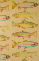 GW-2433D Rainbow Trout