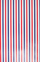 GW-2984B Red and Blue Stripe
