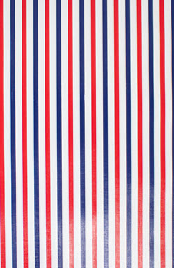 GW-2984B Red and Blue Stripe