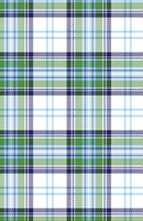 GW-9539D Totally Plaid