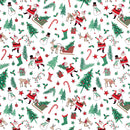 XB878D Santa Season