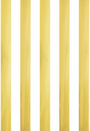 GW-9517E Gold/White Stripes